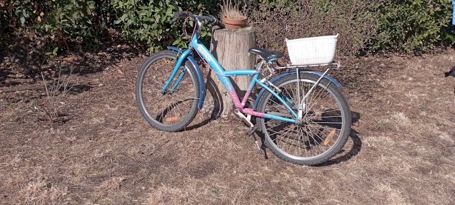 bleu-mauve