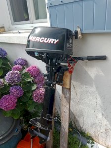 moteur hors bord MERCURY 6cv 