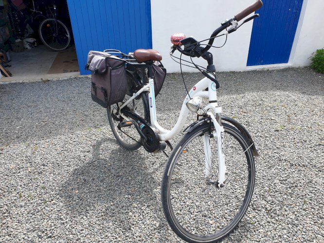 Vélo Assistance Electrique 