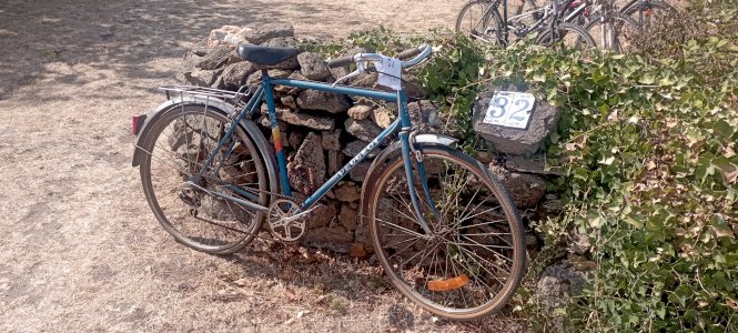 road and city cycling