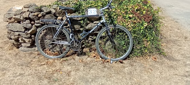 vtt adulte
