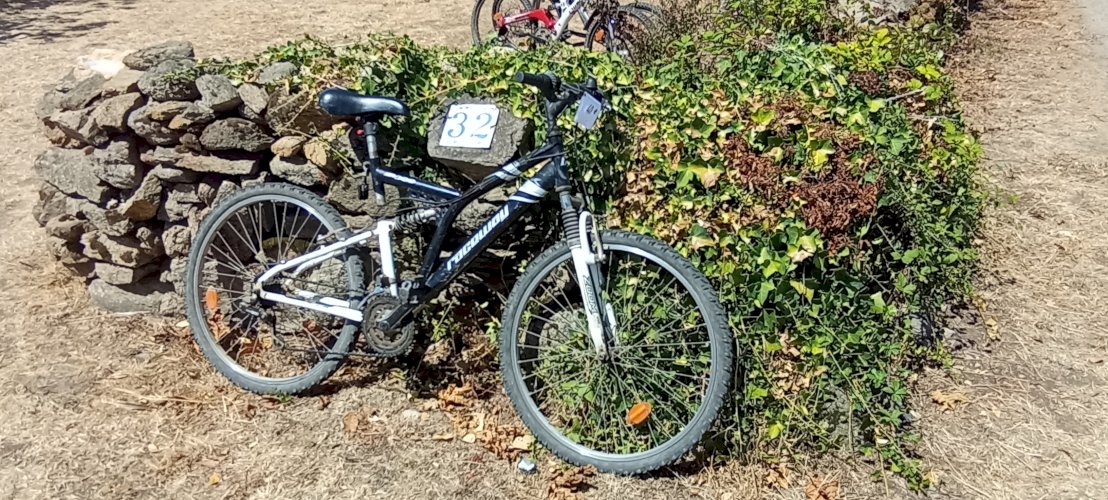 vtt